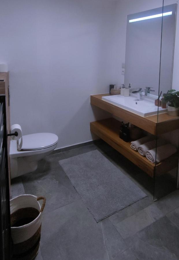 Home Dream/Erstein/3P/60M2 Buitenkant foto